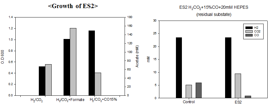 20 mM HEPES buffer를 첨가한 다양한 C1 compounds 조합(CO2/H2, CO2/H2+CO, CO2/H2+formate)에서 ES2의 성장 및 acetate 생산성