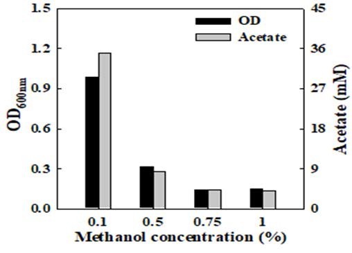 ES2의 methanol 농도 영향