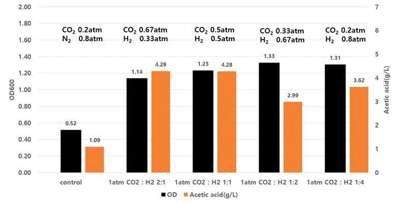 CO2 및 H2를 1.0 기압으로 공급했을 때의 ES2 균주의 배양 특성: 세포성장 및 아세트산 생성 특성