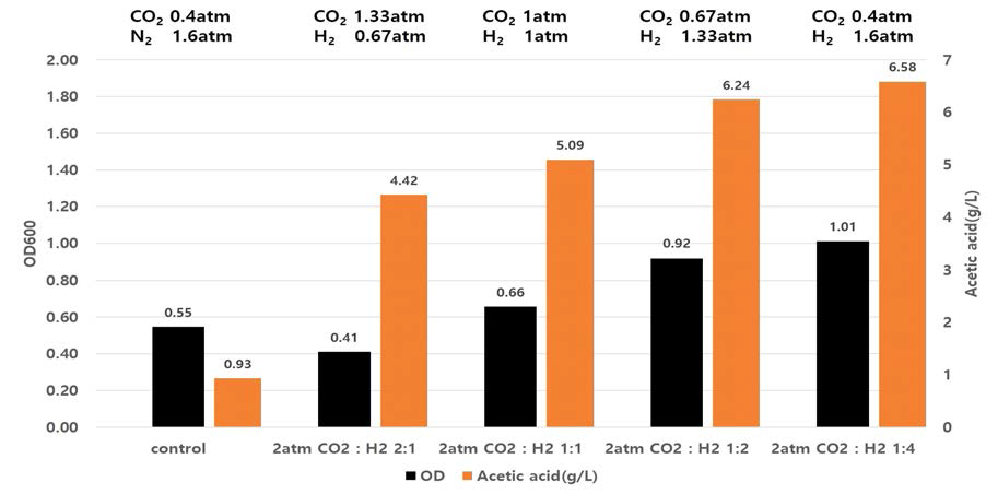 CO2 및 H2를 2.0 기압으로 공급했을 때의 ES2 균주의 배양 특성: 세포성장 및 아세트산 생성 특성