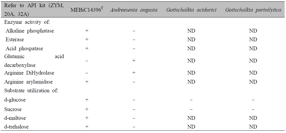 MEBiC14396 및 근연 3종의 생화하적 특성 비교. Gottchalkia 속 균주들은 정보가 부족함