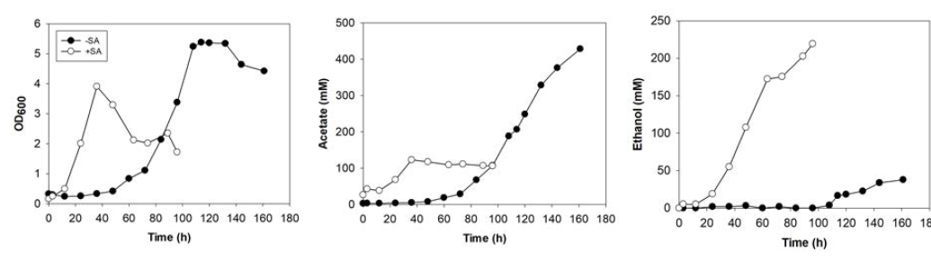 Sodium acetate 첨가 조건에서 Clostridium sp. AWRP의 회분식 반응기 배양 결과. 미첨가 조건은 CO 제한 조건에서의 배양 결과임