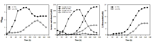 Sodium acetate 첨가 및 무첨가에서 Clostridium sp. AWRP의 회분식 배양 결과