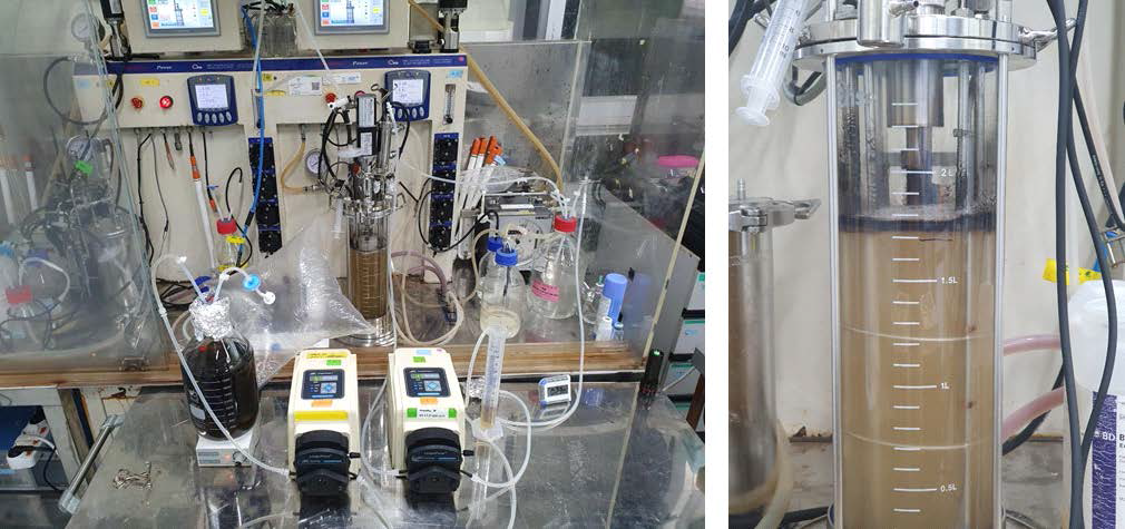 Clostridium sp. AWRP의 CO2 전환을 위한 연속 배양기 (좌) 및 실제 배양 사진 (우)