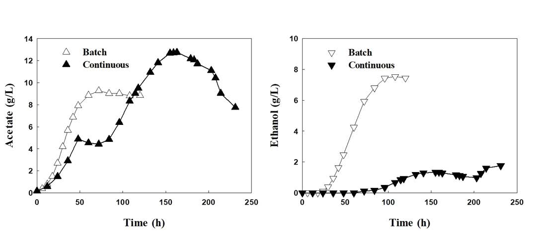 batch 및 연속배양에 따른 아세트산과 에탄올 생산성 비교