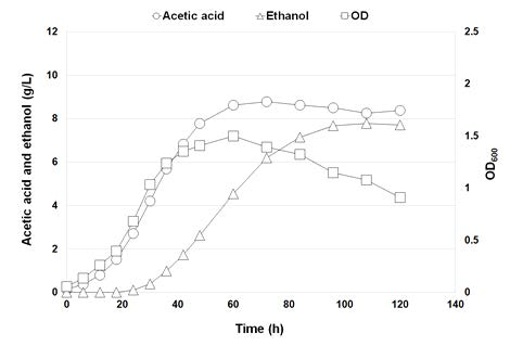 CO2 + H2 조건에서 Clostridium sp. AWRP의 성장 곡선 및 대사 산물