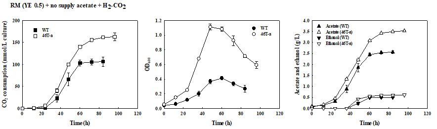 아세트산 무첨가 배지에서 Clostridium sp. AWRP와 46T-a 변이주의 성장 및 산물 생산 비교