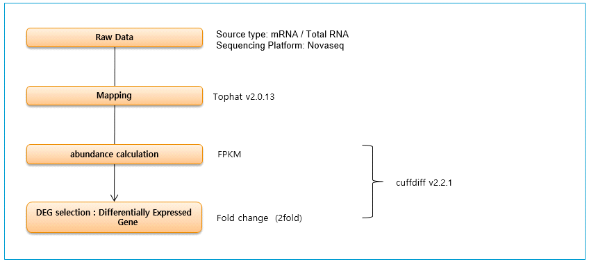 DEG 분석 과정 요약 모식도