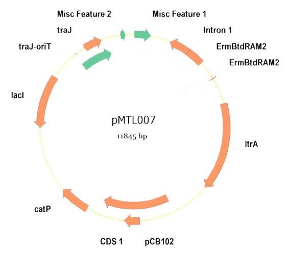 pMTL007 플라스미드의 모식도