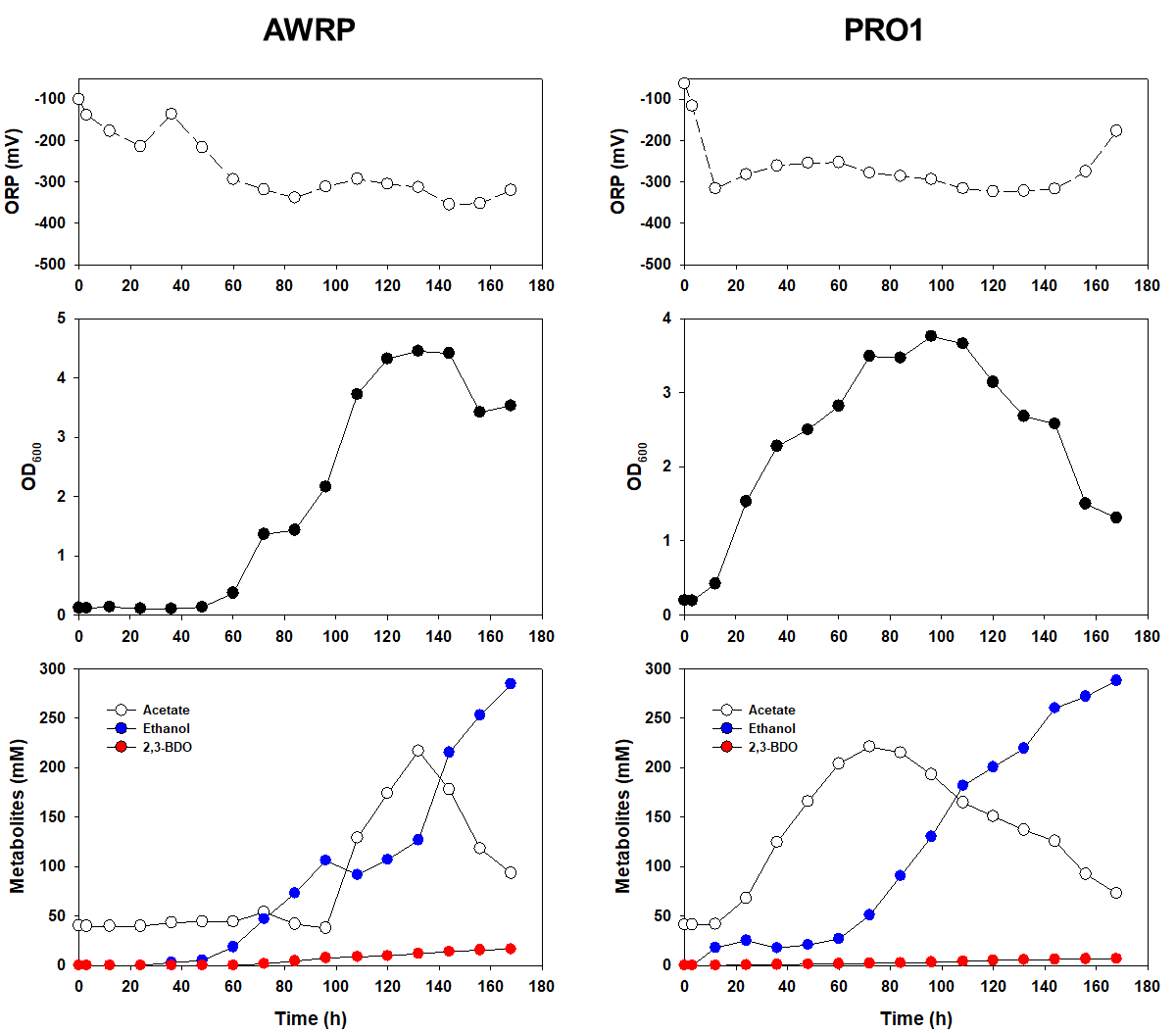 CO 조건에서의 야생형 AWRP(좌)와 PRO1 균주(우)의 배양 결과