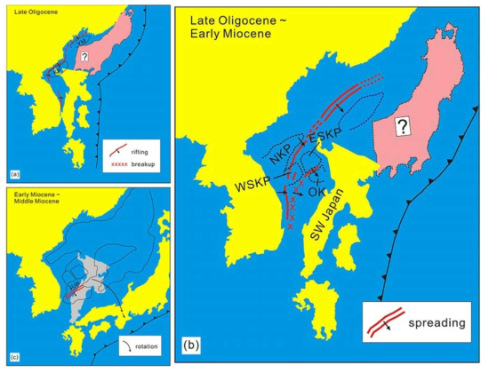 Schematic diagram showing episodes of back-arc rifting to spreading sequentially from the northern to southern parts of the Korea margin (modified from Kim et al. 2015). (a) Initiation of ack-arc rifting and breakup at the northern margin. The position of the SW Japan Arc before its separation from the continental margin of the Korean Peninsula is from Kojima et al. (2008) and Hisada et al. (2008). (b) Back-arc rifting and breakup at the southern margin. (c) Back-arc spreading and clockwise rotation of the SW Japan Arc. See text for explanations