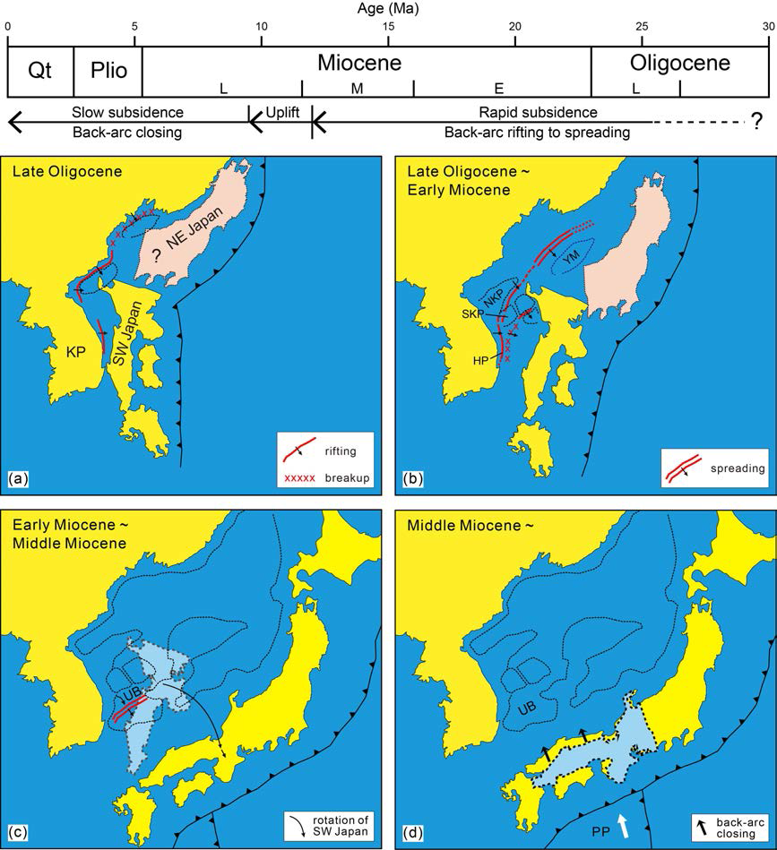 Schematic diagram showing back-arc rifting and spreading associated with the separation of the SW Japan Arc from (near) the Korean Peninsula (modified from Kim et al., 2018). (A) Positon of the SW Japan Arc before back-arc rifting. (B) Initiation of back-arc rifting in the Late Oligocene and breakup. (C) Main phase of separation of the SW Japan Arc with clockwise rotation in the Early to Middle Miocene. (D) Back-arc closing since the Middle Miocene. The tectonic event chart of the Korean margin was drawn from Ingle, Jr. (1992) and Lee and Kim (2002). Qt and Plio = Quaternary and Pliocene, respectively