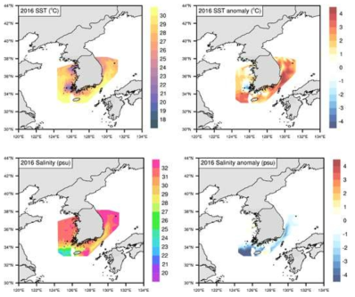 2016년 고수온 사례: 선박관측자료를 이용한 해수면온도, 해수면온도 아노말리, 염분, 염분 아노말리 분포