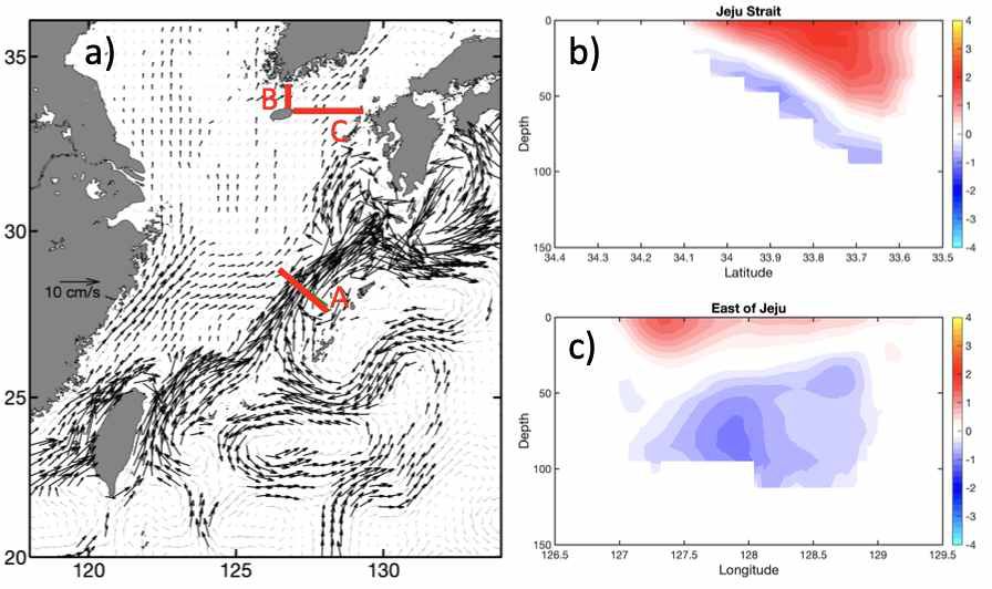 A 단면을 통과하는 쿠로시오 수송량이 클 때 표층 해류 합성장(a), 제주해협 단면(a의 B) 통과 유속장(b과 제주 동쪽 단면(a의 C) 통과 유속장(c)