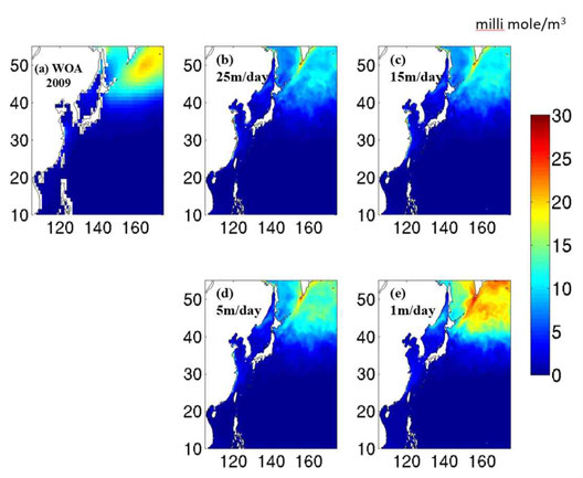 북서태평양 질산염 장기평균 수평분포. (a)는 관측, (b)~(e)는 모형이며, 순서대로 쇄설물 침강속도가 25, 15, 5, 1m/day임