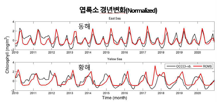 황해와 동해의 엽록소 농도 경년변화. OCCCI-v5(검정 점선)와 물리-생태모형(빨간선)은 표준화(Normalized)하였으며, 표준화는 (엽록소 농도 – 평균)/표준편차임