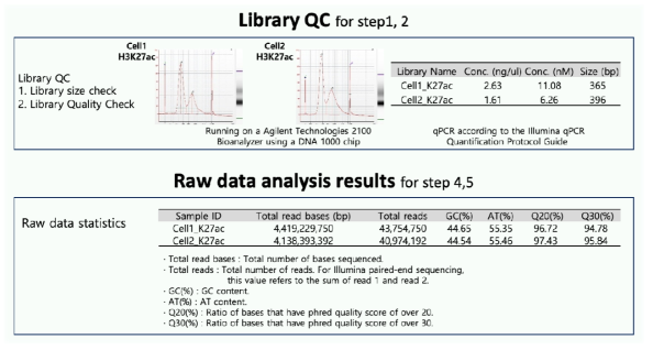 ChIP-seq library 생산 과정에 따른 퀄리티 체크 및 결과 확인