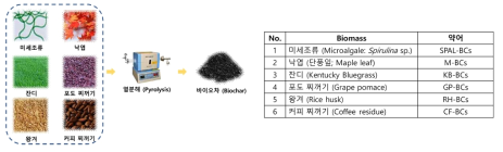 본 연구에서 바이오차 제조를 위해 사용된 유기성 폐기물 바이오매스, 열분해 과정 및 바이오차