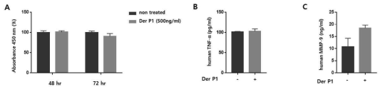 집먼지 진드기(Der p1)을 처리 후 세포생존률(A)과 사이토카인의 분비 TNF-α(B) metalloprotein-9 (C) 변화