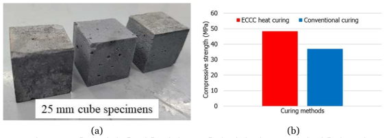 (a) 촉진 양생 후 압축 시편, (b) 촉진 양생 및 표준 양생 압축강도 비교