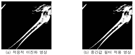 필터 적용을 통한 노이즈 감소 영상