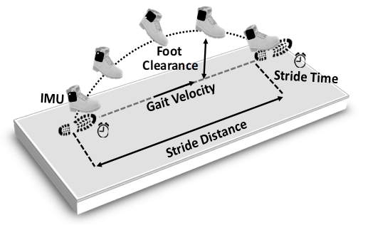 보행 파라미터(Gait Parameter)