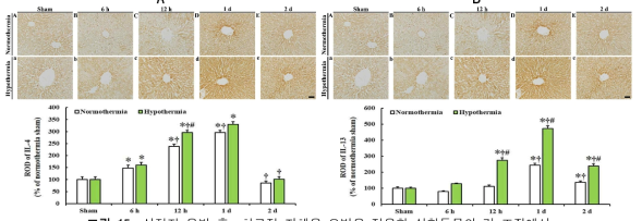심정지 유발 후, 치료적 저체온 요법을 적용한 실험동물의 간 조직에서 항-염증성 사이토카인의 변화. (A) IL-4, (B) IL-13