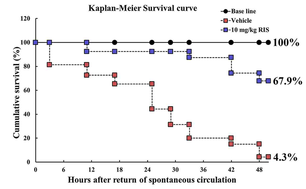 질식성 심정지 모델에서 RIS처치에 따른 누적 생존율