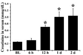 심정지 후 creatinine 수치