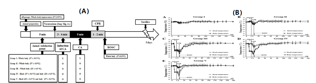 실험 모식도(A) 및 각 실험군 별 체온 변화(B)