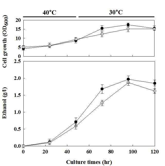 Comparison of cell growth and ethanol concentration by enzymatic saccharification of agarose and ethanol fermentation in FY834/pGMFα-HGN strain. The FY834/pGMFα -HGN strain was precultivated in YPG medium for 72 hr and cultivated medium (C.M) and cultivated cell (C.C) were transfer into YPA(1% agarose) medium, respectively. The cells were incubated for 48 hrin 40°C and then incubated for 72 hrafter shift to 30°C. Closed circles and open circles indicated cultivated medium (C.M) and cultivated cell (C.C) of FY834/pGMFα-HGN strain, respectively