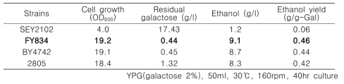 Comparison of galactose availability and ethanol productivity according to yeast strains