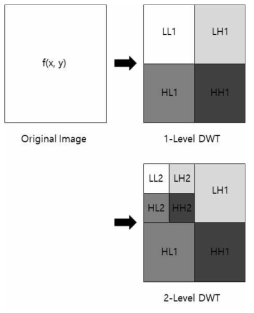 Wavelet Transform