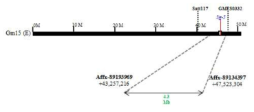 sg-5a 유전자 위치. SNP array를 실시하여 유전자의 물리적인 위치를 표시하였음