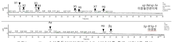 sg-9/sg-5 이중돌연변이체에서 LC-MS/MS를 통해 사포닌을 분석