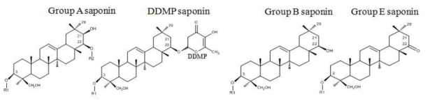 콩에 함유된 사포닌은 triterpenoid 사포닌으로 2 종류 즉 사포닌 A 그룹과 DDMP 사포닌으로 존재. DDMP 사포닌은 추출이나 가공과정에서 일부가 분해되어 B, E 그룹 사포닌으로 변함