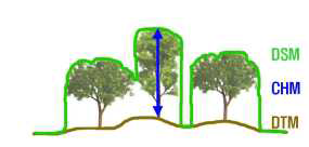 Canopy Height Model 모식도