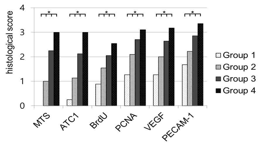 Semiquantitative score of histological findings, immunoreactivity of stain. The immunoreactivity of MTS and anti-type 1 collagen antibody stain, and proportion of BrdU-, PCNA-, VEGF-, and PECAM-1-positive cells were scored as detailed in Materials and Methods. Abbreviations are MSC: human umbilical cord blood-derived mesenchymal stem cell; PDRN: polydeoxyribonucleotide; VEGF: vascular endothelial growth factor; and PECAM: platelet endothelial cell adhesion molecule