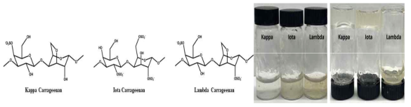 Kappa, Iota, Lambda carrageenan의 화학적 구조와 용해도 및 점도 확인