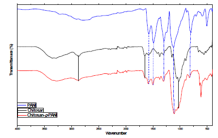 Chitosan-g-PANI, Chitosan, PANI의 IR spectra