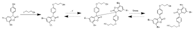 5,7-di-tert-butyl-3-(4-hydroxyphenyl)benzofuran-2-one의 합성
