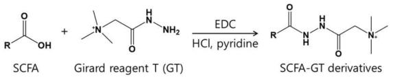 Girard reagent T를 활용한 단쇄지방산 유도체화 반응 전략