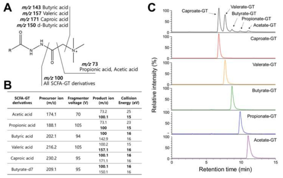 (A, B) 여섯 가지 단쇄지방산-GT 유도체화물의 (+)-ESI-MS/MS 조각이온 생성 조건 분석, (C) 단쇄지방산-GT 유도체화물의 액체 크로마토그래피 상 분리도 확립