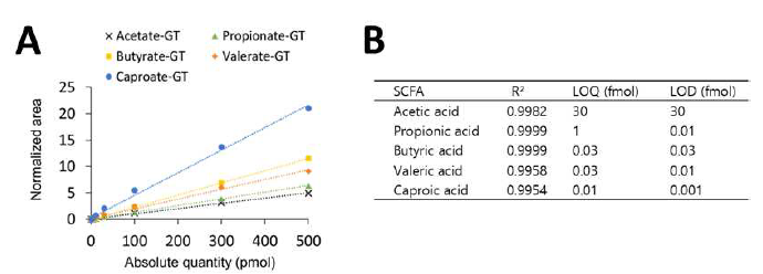 (A) 단쇄지방산-GT 유도체화물의 정량곡선, (B) 각 단쇄지방산-GT 유도체화물의 정량 정보표