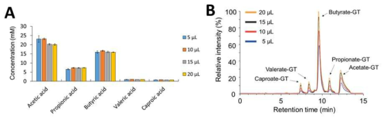 (A) E. rectale 배양액의 추출 용량별 각 단쇄지방산-GT 유도체화물의 정량성 비교, (B) E. rectale 배양액의 추출 용량별 LC-MS 크로마토그래피 비교