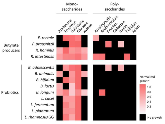 본 연구에서 사용한 프로바이오틱스, 장내 부티르산 생산균의 각 단당류 및 프리바이오틱스 배지 하에서의 성장도 분석 heatmap