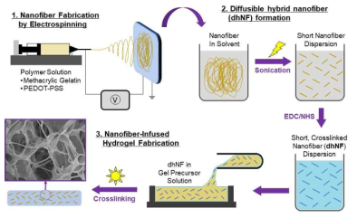다기능성 나노섬유 주입 복합체 하이드로젤 개발