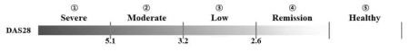 RA의 질병활성도에 따른 그룹 분류