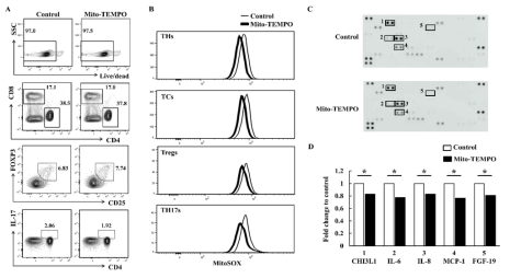 활성산소 억제제(Mito-TEMPO) 처리 후 cytokine array 수행