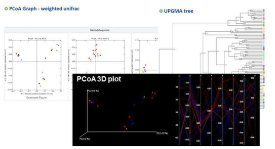 diversity 분석 (2D,3D PCoA plot, UPGMA tree)